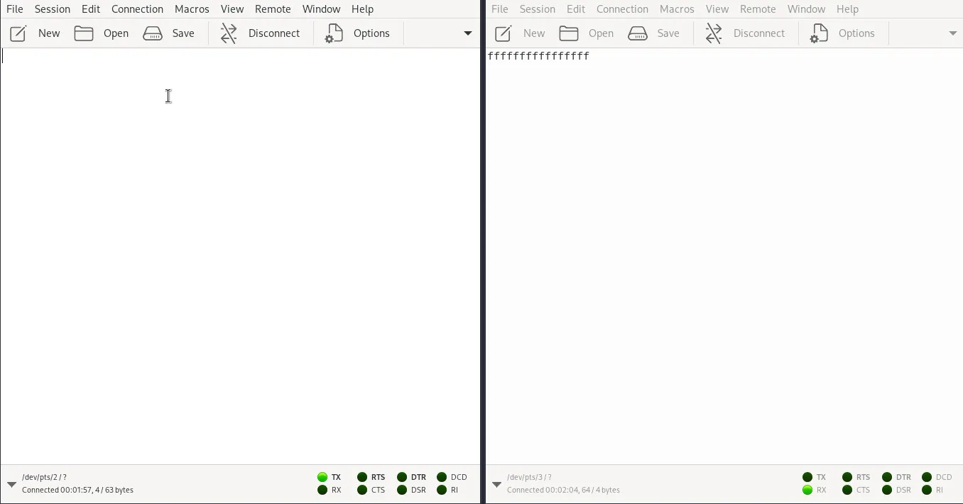 Image to show the connection between two opened ptys